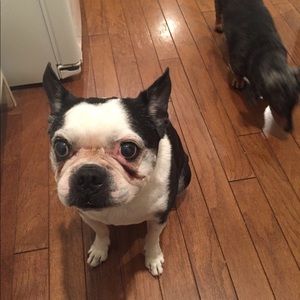 Meet your Posher, Katherine